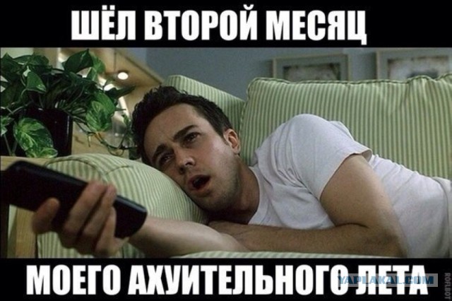 Лето 2014