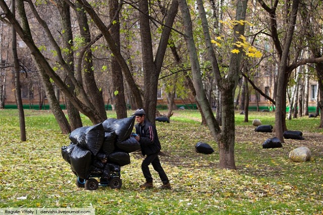 Глупость под ногами