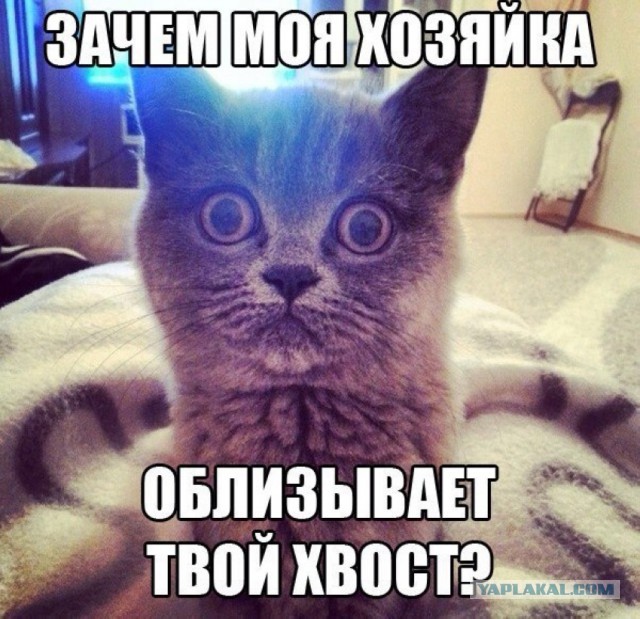 Интересные люди из соц. сетей