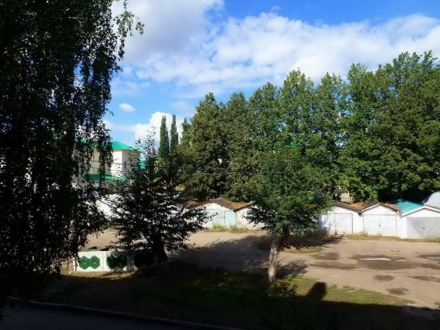 Загадка-разминка для мозга: найди кота