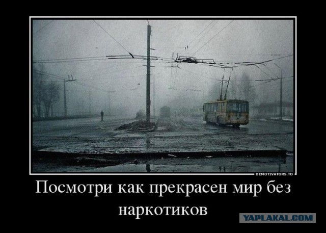 А вот вам: Как влияет алкоголь на мозг.