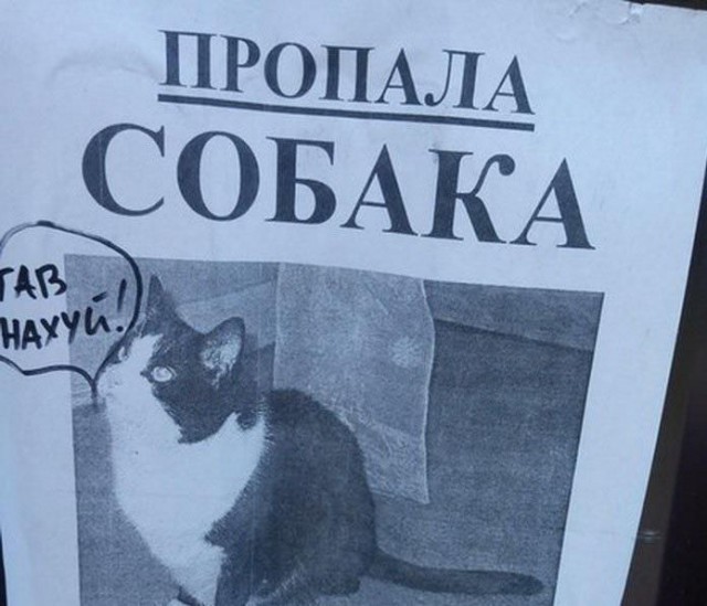 Веселые картинки
