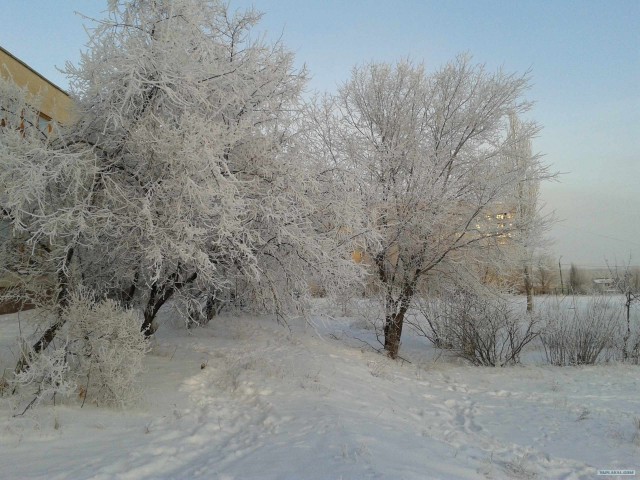 Для скучающих по снегу