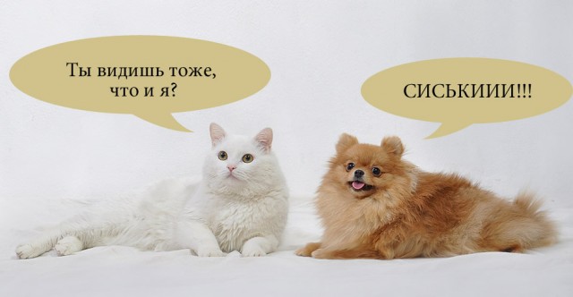 Утренняя гимнастика