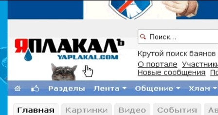 Как поймать кота