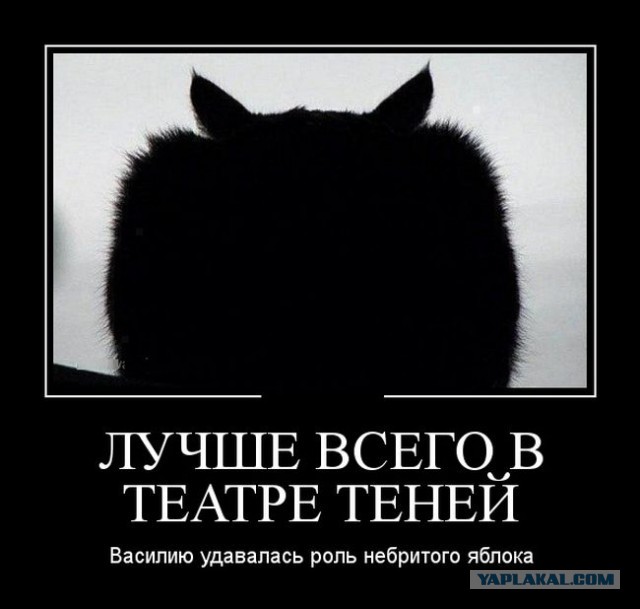 Подборка демотиваторов