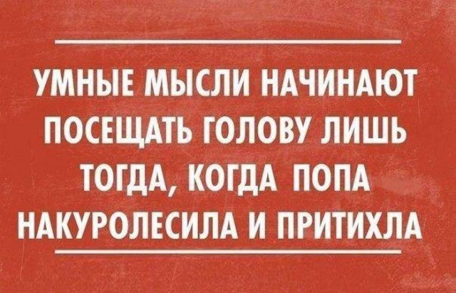Цитаты из нашей жизни