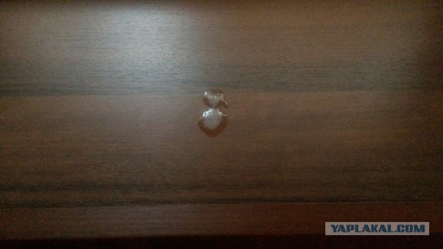 Откуда берутся "плевки" в квартире?