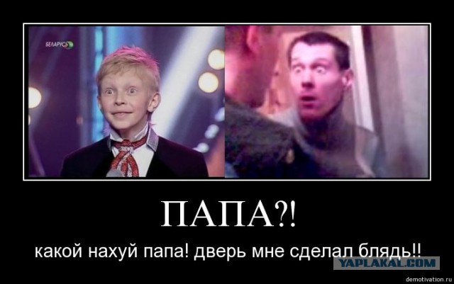 Лаз для кошки