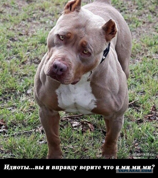 Подборка картинок