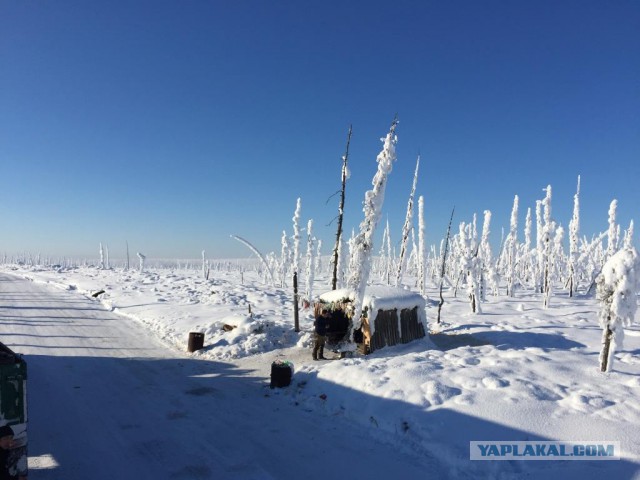 Перегон УАЗ