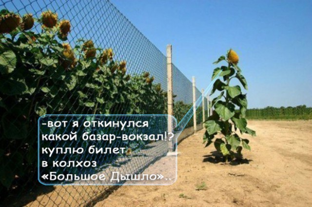 Сломай систему!