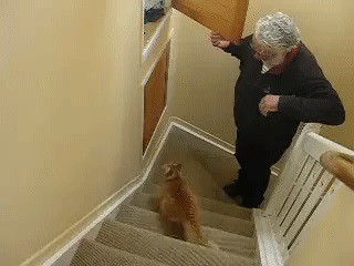 Не все дождутся...