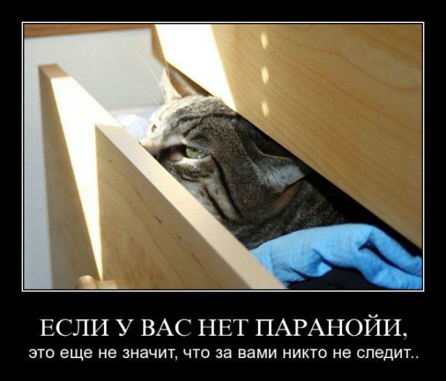 Сборище абсурда