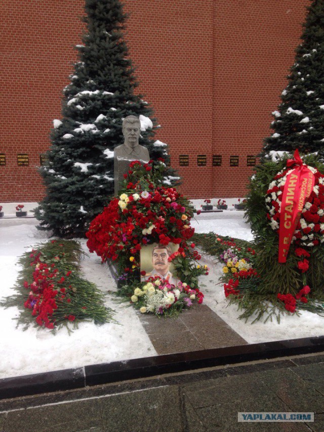 Энтео задержали за хулиганство на могиле Сталина. Мужчина бросил на могилу цветы и выкрикивал лозунги.