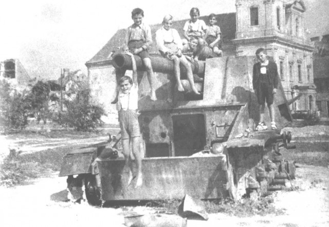 Длинный шмель
