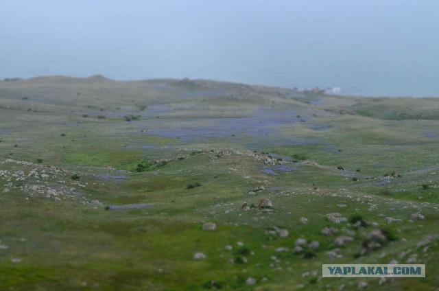 Опук-Кассиопея. КрымоГрафия.