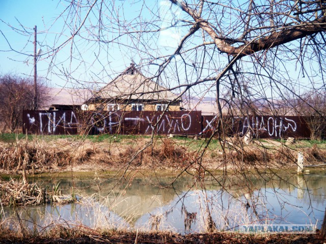 Наказали кидалу по-кубански…