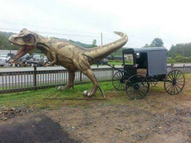 Смешные картинки