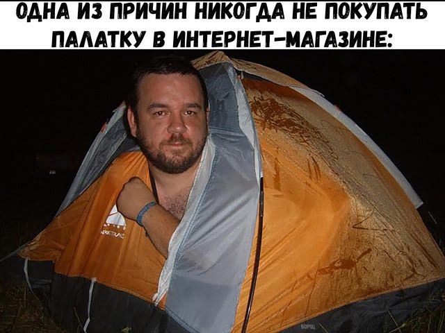 Картинок всяких