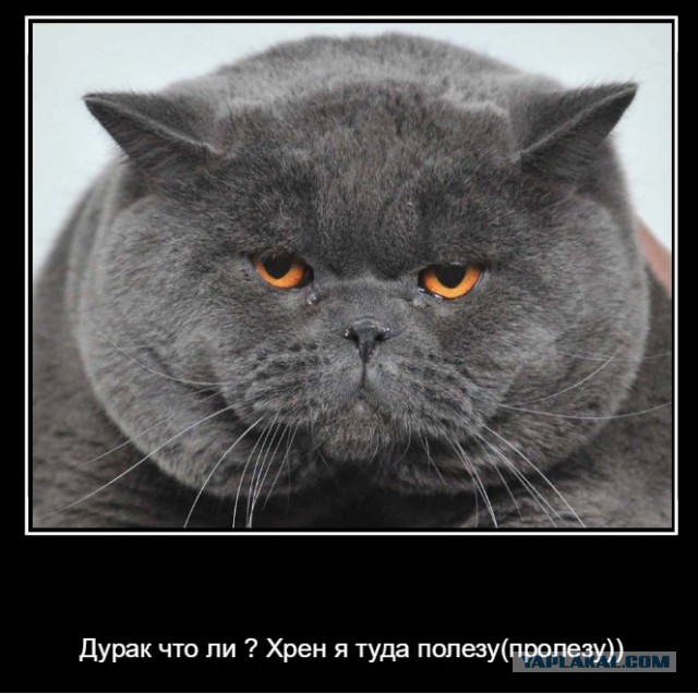 Система спасения при пожаре