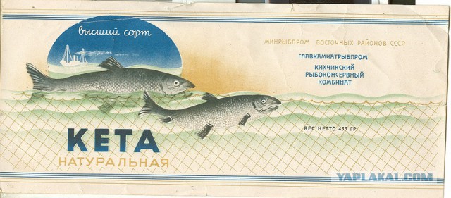 В моей голове: кто щас сделает отчет, Иваси, Иваси..