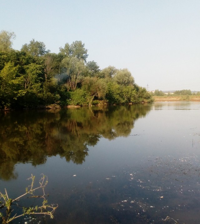 Диалоги о футболе, спорте, хобби.