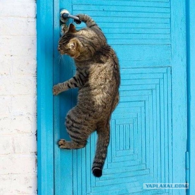 Командировка. В леса