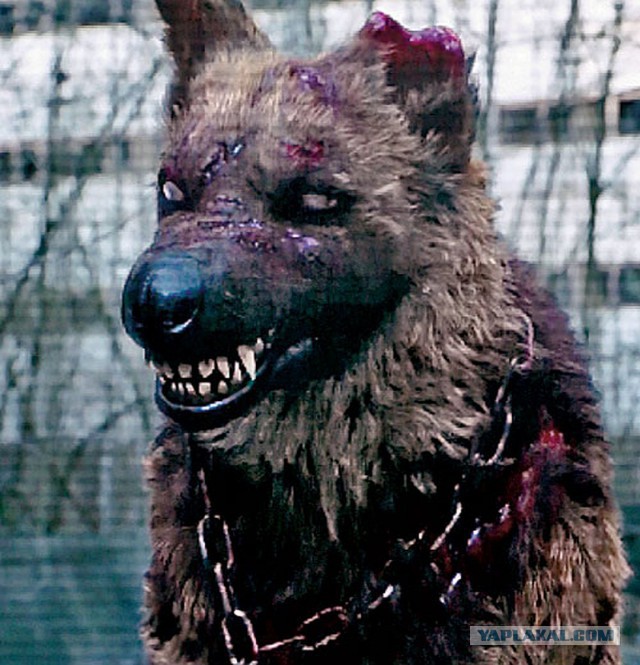 Немного малоизвестных фактов о Чернобыле от человека, который ездил туда четыре раза