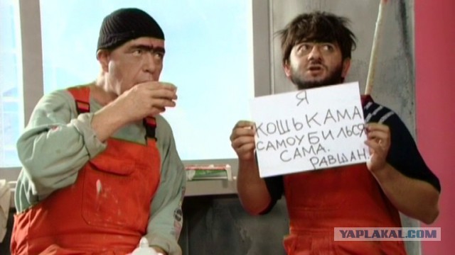 Налог на домашних животных: кошки и собаки влетят россиянам в копеечку