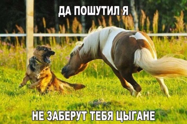 Соц-сети, анекдоты и картинки с надписями 12.03.19