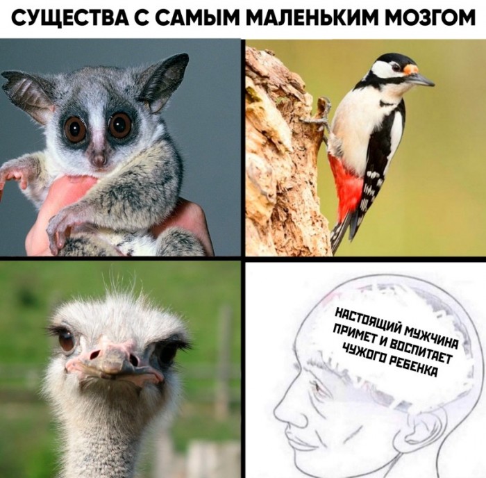 Найдено в облаке