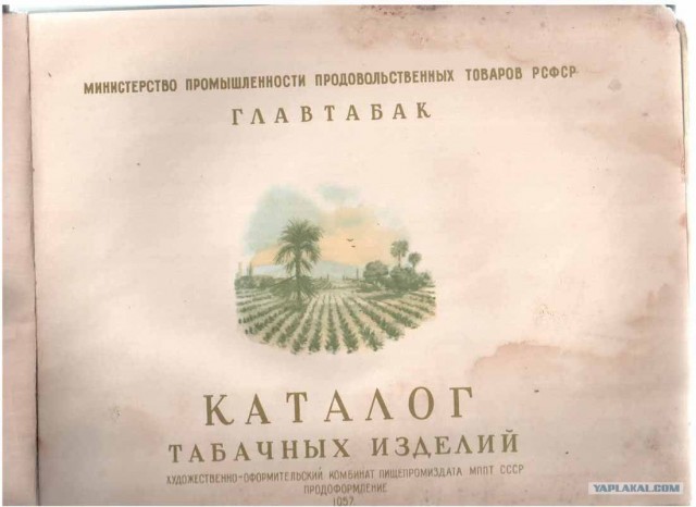 О приятном и запретном.