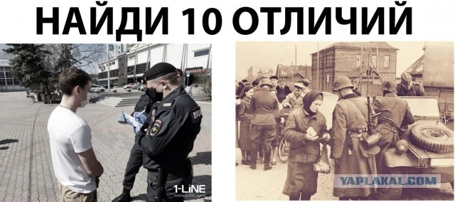 Очередной "захват особо опасных" тётенек, нарушивших режим ХЗ