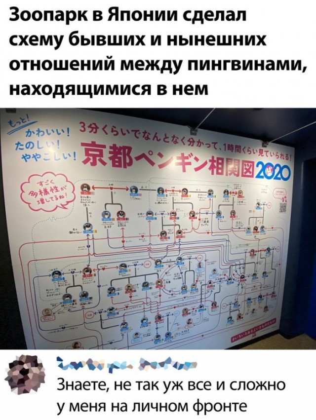Юмор из соцсетей