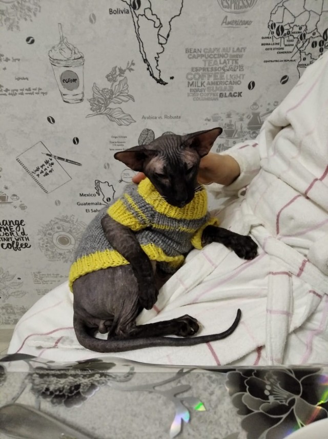 Няшка