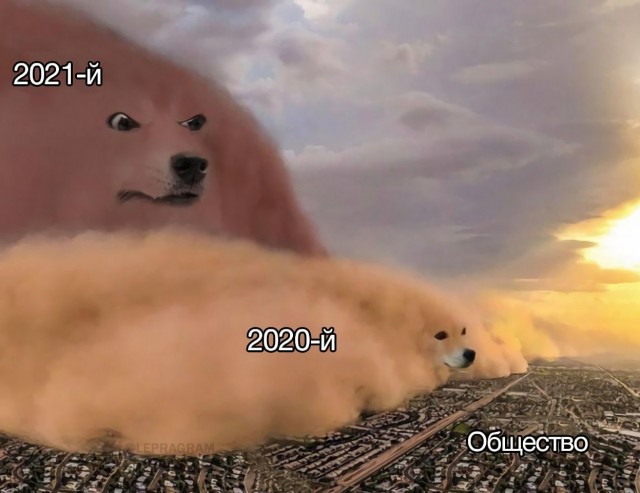 Бредзона 05.01.2021