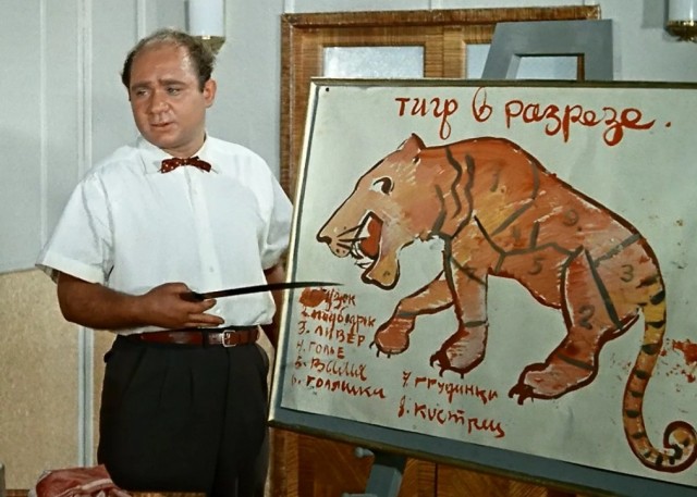 Мой ласковый и нежный зять