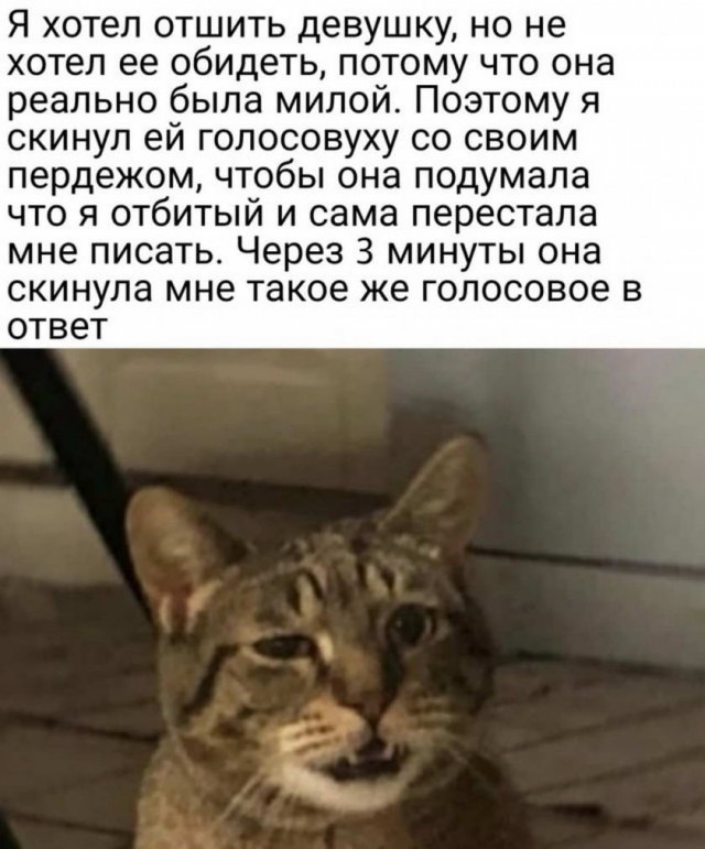 Картинки и мемы для настроения 004