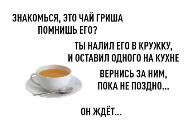 Весёлый полтишок 12.03