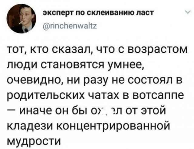 Немного о родительских чатах (в картинках)