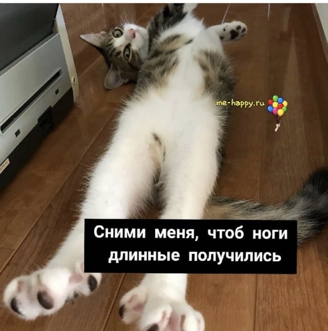Картинки на вчера