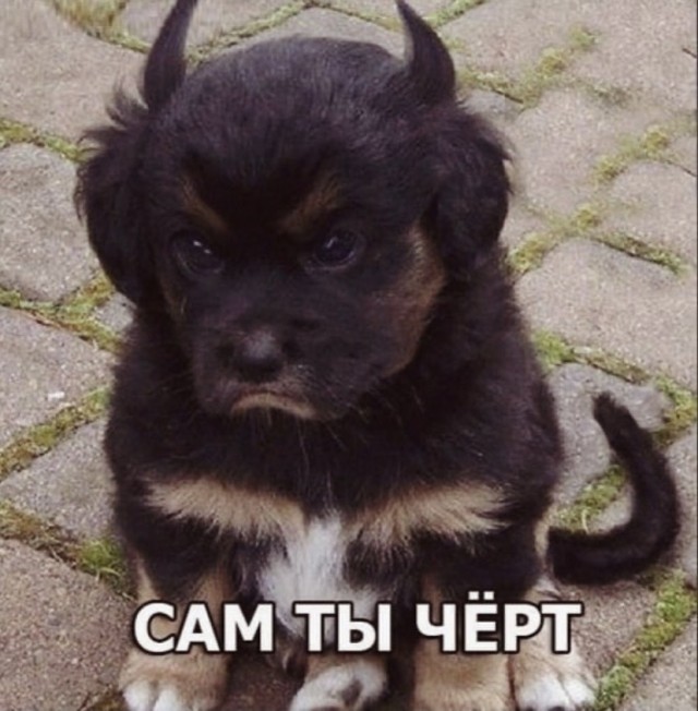 Картинки и мемы, всем прекрасных выходных