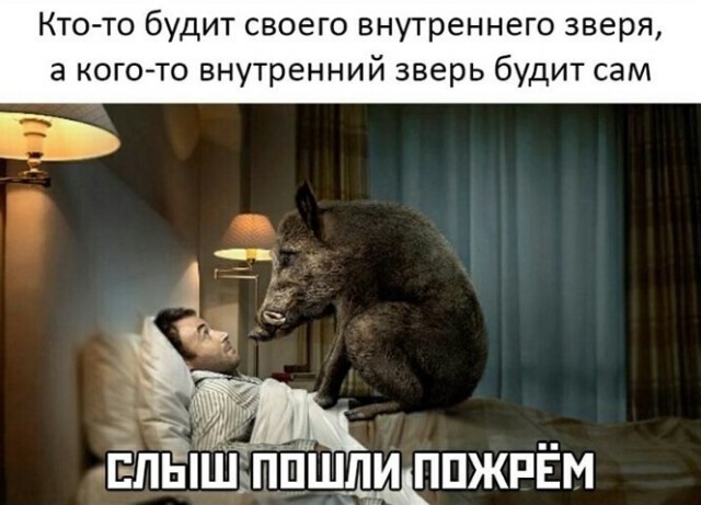 Так себе картинки 27.11.21