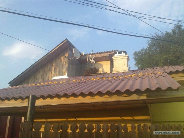 Храмы Боровска (130 фото)
