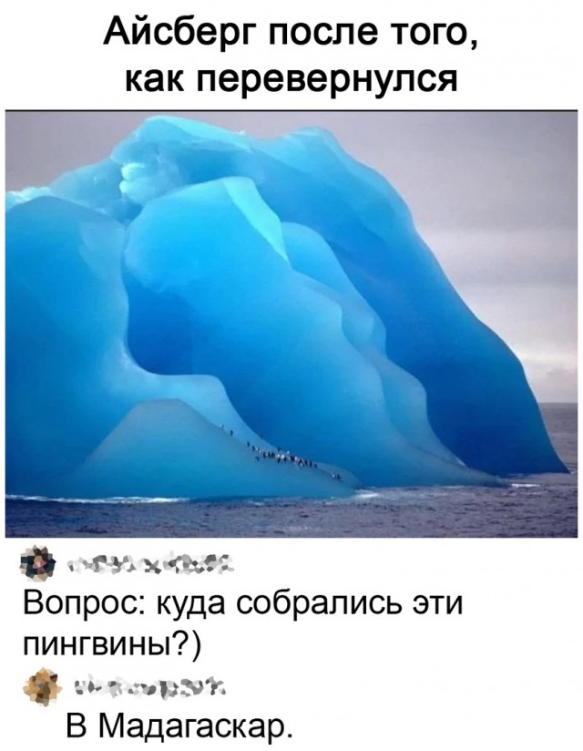 Так себе картинки 31.12.21