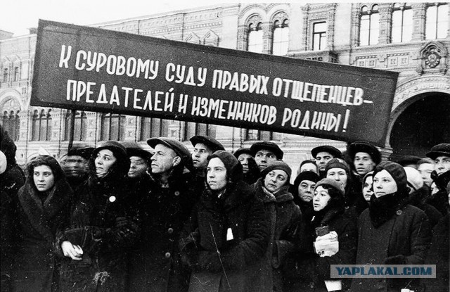 К угрозам «отрезать головы» Янгулбаевым официально присоединилась политическая элита Чечни