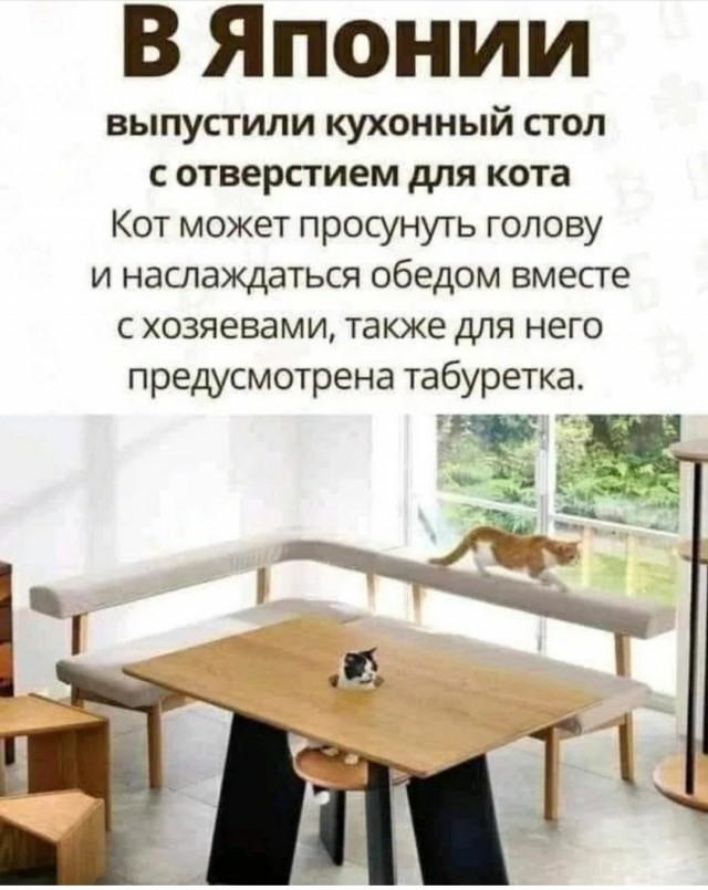 Картинки и мемы для настроения  -  9