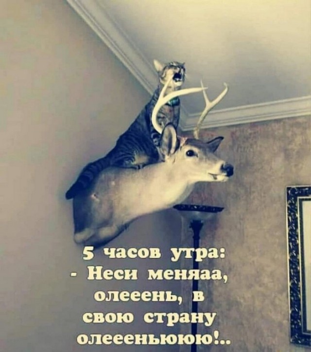 Так себе картинки 04.05.22