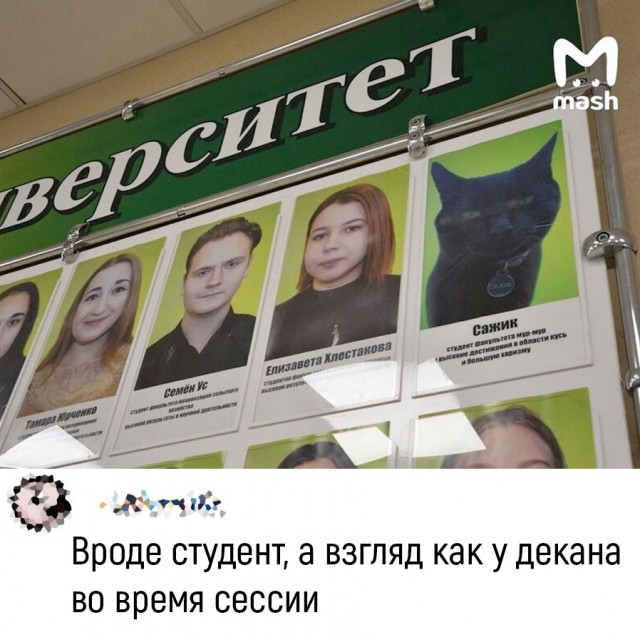 Так себе картинки 18.06.22